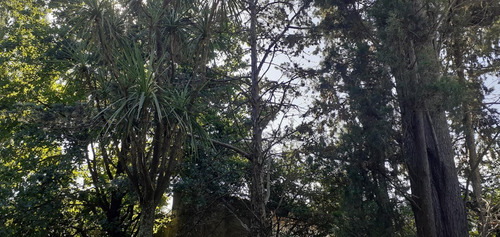 Terreno En Pacheco 1000 M2 Buen Acceso Cerca Centro