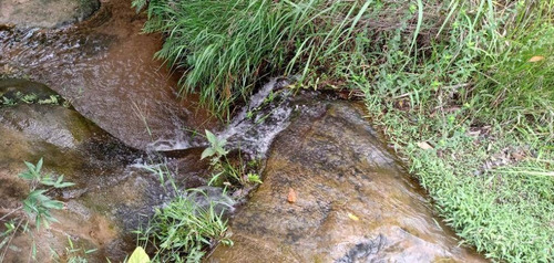Fazenda À Venda, 65 Alqueires Por R$ 3.000.000 - Sítio Rural - São Sebastião Do Paraíso/mg - Fa0012