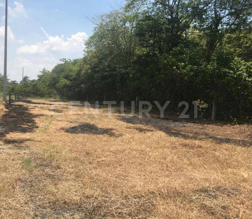 Terreno Venta Carretera Al Cedro Saloya 2a Sección Nacajuca Tabasco