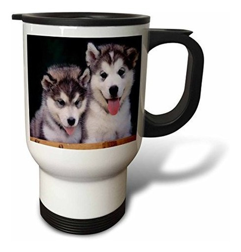 Vaso - 3drose For Love Of A Beagle Taza De Viaje, 14 Onzas, 