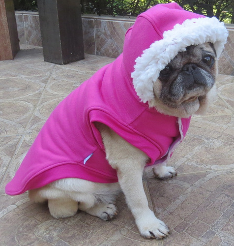 Roupa Cachorro/ Gato Inverno Frio Gorro - Casaco Com Forro