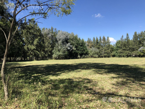 Terreno En Haras El Malacate