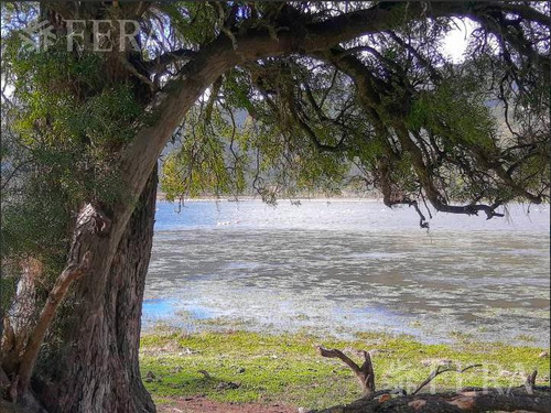 Imagen 7 de 12 de Venta Campo 30 Hectáreas En Trevelín - Chubut (29752)