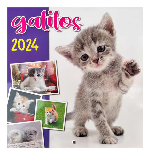 Calendario 2024 Gatos Gatitos, Modelo 8