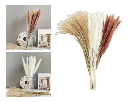 Mesa De Sala Grande, 60 Unidades, Pampa Dry Grass, Fra
