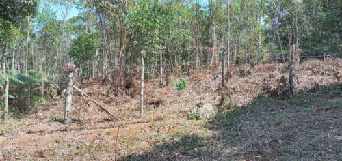 Imagem 9 de 15 de Lindo Lote - Bilt00168
