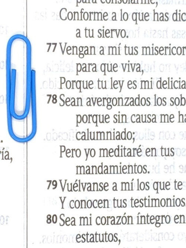 Imagen 6 de 7 de Biblia Reina Valera 1960 Cierre Letra Grande Rosa Pjr Sba