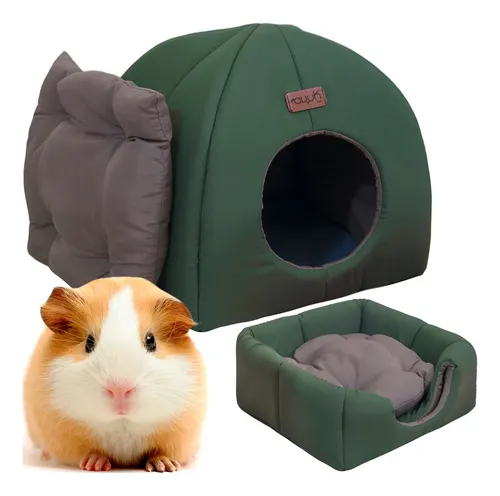 Toca + Almofada Para Chinchila Porquinho Da India Avuk Pet