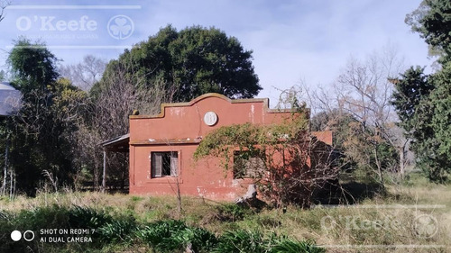 Imagen 20 de 29 de Chacra De 29 Has En Venta En Baradero - Ideal Fin De Semana Y Producción Agrícola