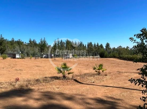 Parcela Comercial 11.000 M2 Con 7 Cabañas En Algarrobo