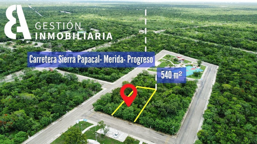 Imagen 2 de 8 de Terreno En Venta Residencial Balku Komchen Yuc.ctv 250