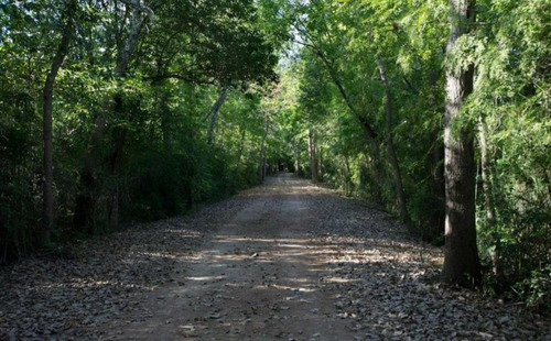 Imagen 3 de 7 de Venta De Excelente Lote De 551 Mts2 En Barrio Araucarias, Puertos, Escobar