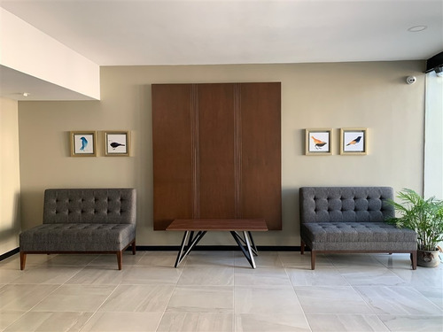 Imagen 5 de 14 de Nuevas Oficinas Ejecutivas En Buenavista