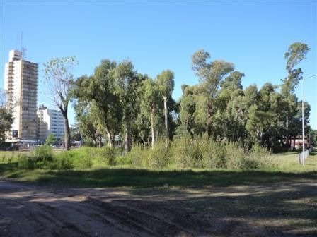 Imagen 2 de 3 de Pinamar Centro - Lote Multifamiliar Hotelero
