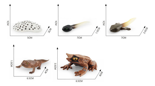 3 Figuritas De Animales Realistas Modelo De De Ranas Estilo