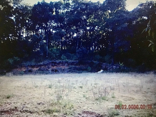 Imagen 1 de 4 de Venta Terreno Colonia Progreso Industrial Nicolás Romero