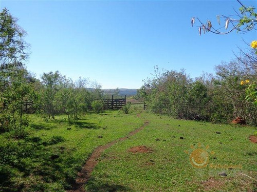 Venda - Sítio Da Ilha / Pilar Do Sul/sp - 4360