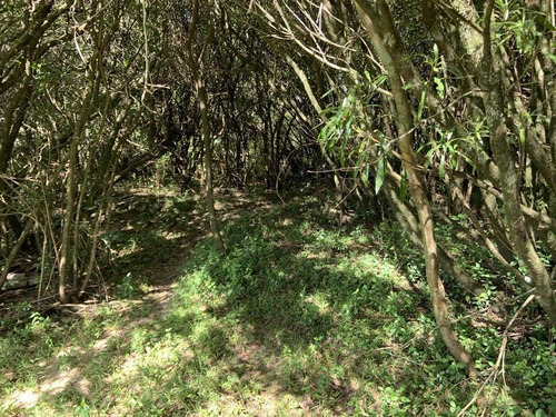 10 Has De Campo Sobre Ruta 13 A Minutos De Aiguá. Un Lugar De Descanso Ideal!
