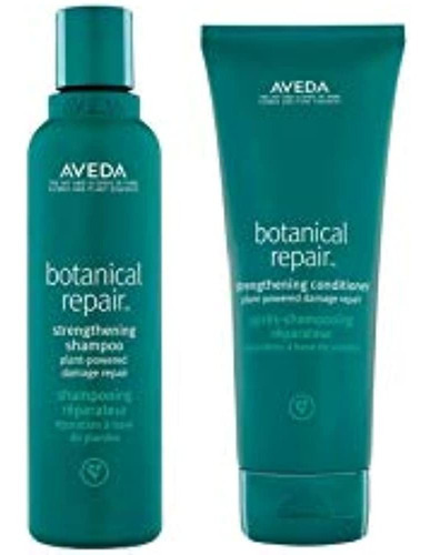 Aveda Botanical Repair Champú Y Acondicionador Fortalecedor