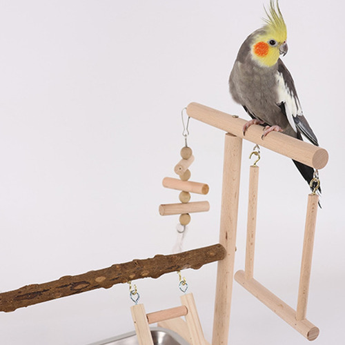 Juego De Columpios, Jaula De Loros, Juguete, Columpio, Parqu