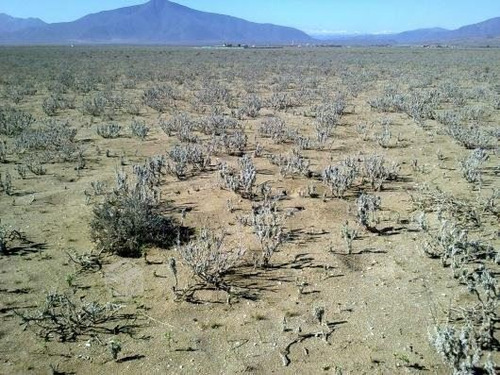 Parcela En Venta Punta De Choros, En La Comuna De La Higuera
