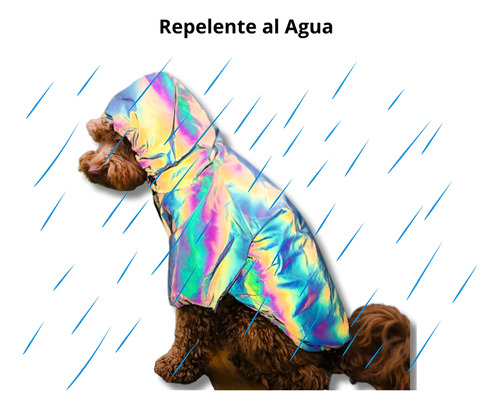 Impermeable Para Perro Gato Ropa De Lluvia Mascotas