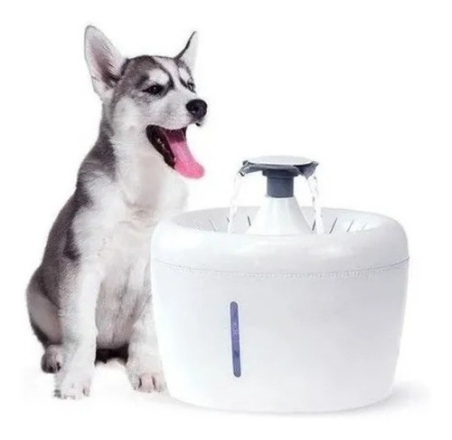 Fuente Dispensador Agua Eléctrico Bebedero Gatos Y Perros 