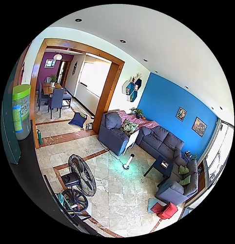 Imagen 7 de 7 de Lámpara Desinfectante Uv Ozono Con Control Remoto Hasta 40m2
