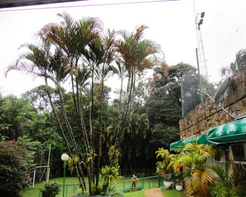 Excelente Chácara À Venda Jd. Pelizzari - Jundiaí/sp - Ch00182 - 69305752