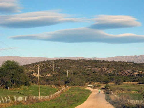 Imagen 22 de 25 de Excelente Campo Nativo De 103ha La Venta En Ojo De Agua!