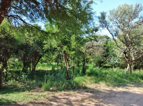 Imagen 2 de 2 de Hermoso Terreno De 778m2 Muy Próximo A Ruta 5
