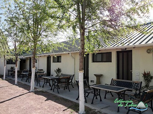 Negocio En Venta En Lobos