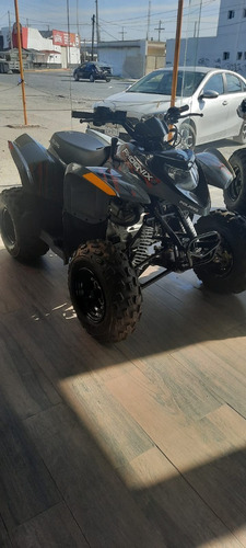 Imagen 3 de 3 de Polaris Phoenix 200