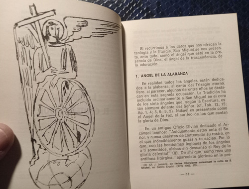 San Miguel Arcángel De Dios Alfredo Saenz (Usado)