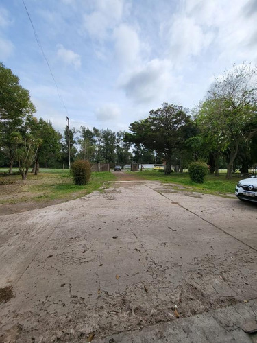 Imagen 7 de 16 de Alquiler Importante Galpón Sobre Fracción De 23.500mts - Av. 32