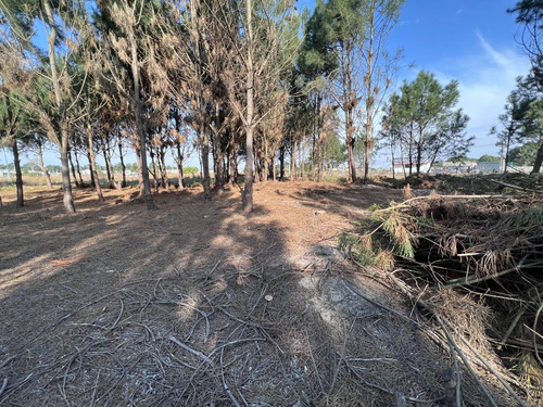 Imagen 11 de 15 de Venta Terreno Financiable Lomas De Solymar Canelones