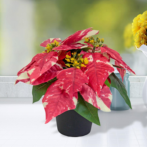 Planta De Pascua Artificial Navideña Realista Para Mesa De