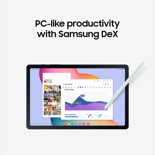 Samsung Galaxy Tab S6 Lite (2024)