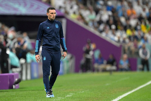 Campera Selección Argentina Qatar 2022 (Usado)