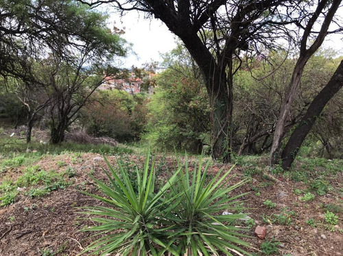 Imagen 2 de 12 de Terreno En Venta Cinco Lomas