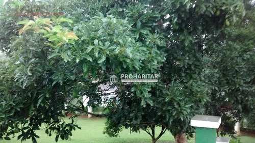 Imagem 16 de 30 de Chácara Rural À Venda, Cipó, Embu-guaçu - Ch0097. - Ch0097