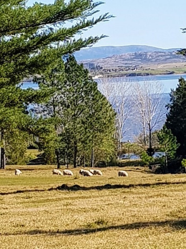 Chacra Con 120 Metros Sobre La Laguna De 8 Hectareas- Ref: 1543