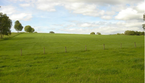 Los Muermos, Espectacular Campo Ganadero