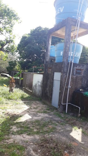 Imagem 4 de 13 de Terreno À Venda, 4756 M² Por R$ 800.000,00 - Miritiua Turu - São José De Ribamar/ma - Te0396