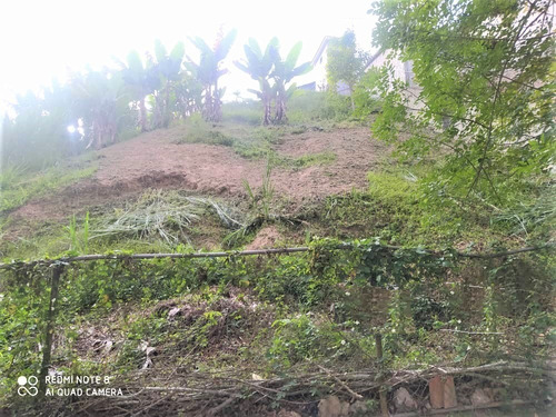 Imagen 10 de 12 de Terreno Urb San Gabriel