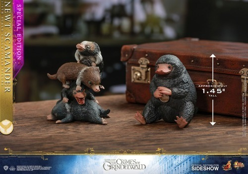 Newt Scamander 1/6 Special Edition Fantastic Beast Hot Toys