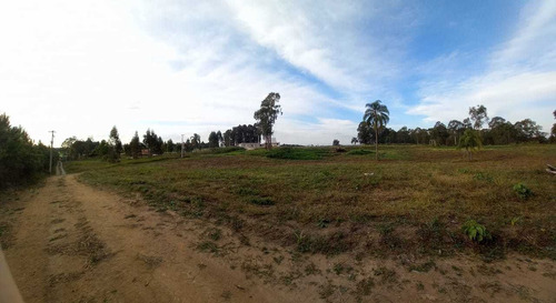 Imagem 6 de 12 de Chácara Em Eucaliptos, Fazenda Rio Grande/pr De 20000m² 1 Quartos À Venda Por R$ 180.000,00 - Ch1510288-s