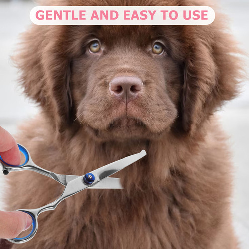 Aa Tijeras De Peluquero Para Mascotas, Antióxido, 1 Unidad,