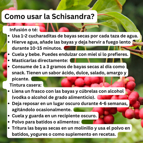 Schisandra En Bayas Enteras 50 Gramos Adaptogeno Premium