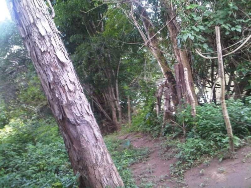 Imagen 13 de 15 de Finca En Venta. Gran Oportunidad.